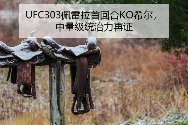 UFC303佩雷拉首回合KO希尔，中量级统治力再证