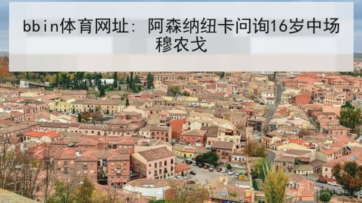 bbin体育网址: 阿森纳纽卡问询16岁中场穆农戈