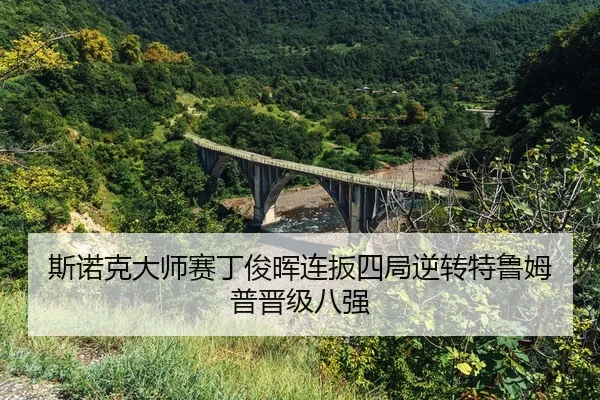 si-nuo-ke-da-shi-sai-ding-jun-hui-lian-ban-si-ju-ni-zhuan-te-lu-mu-pu-jin-ji-ba-qiang-2-468.jpg