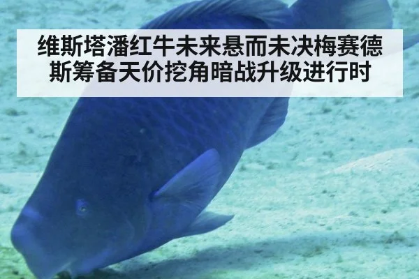 维斯塔潘红牛未来悬而未决梅赛德斯筹备天价挖角暗战升级进行时