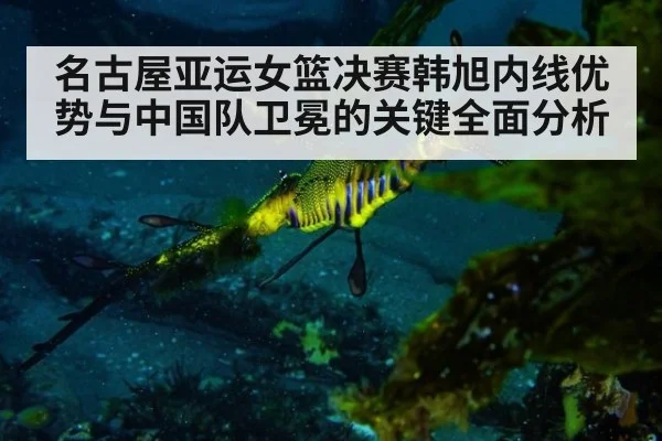 名古屋亚运女篮决赛韩旭内线优势与中国队卫冕的关键全面分析